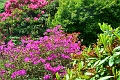 04 05 14_3921_edited-1